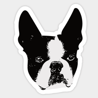 Boston Bull Terrier Face Sticker